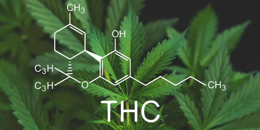 Delta-8 thc desposable vape pen