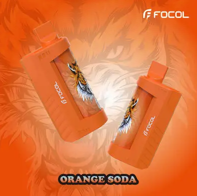 https://www.focolvapes.com/Focol-Nicotine-5-Vape-5000-Puffs-Rechargeable-pd47368210.html