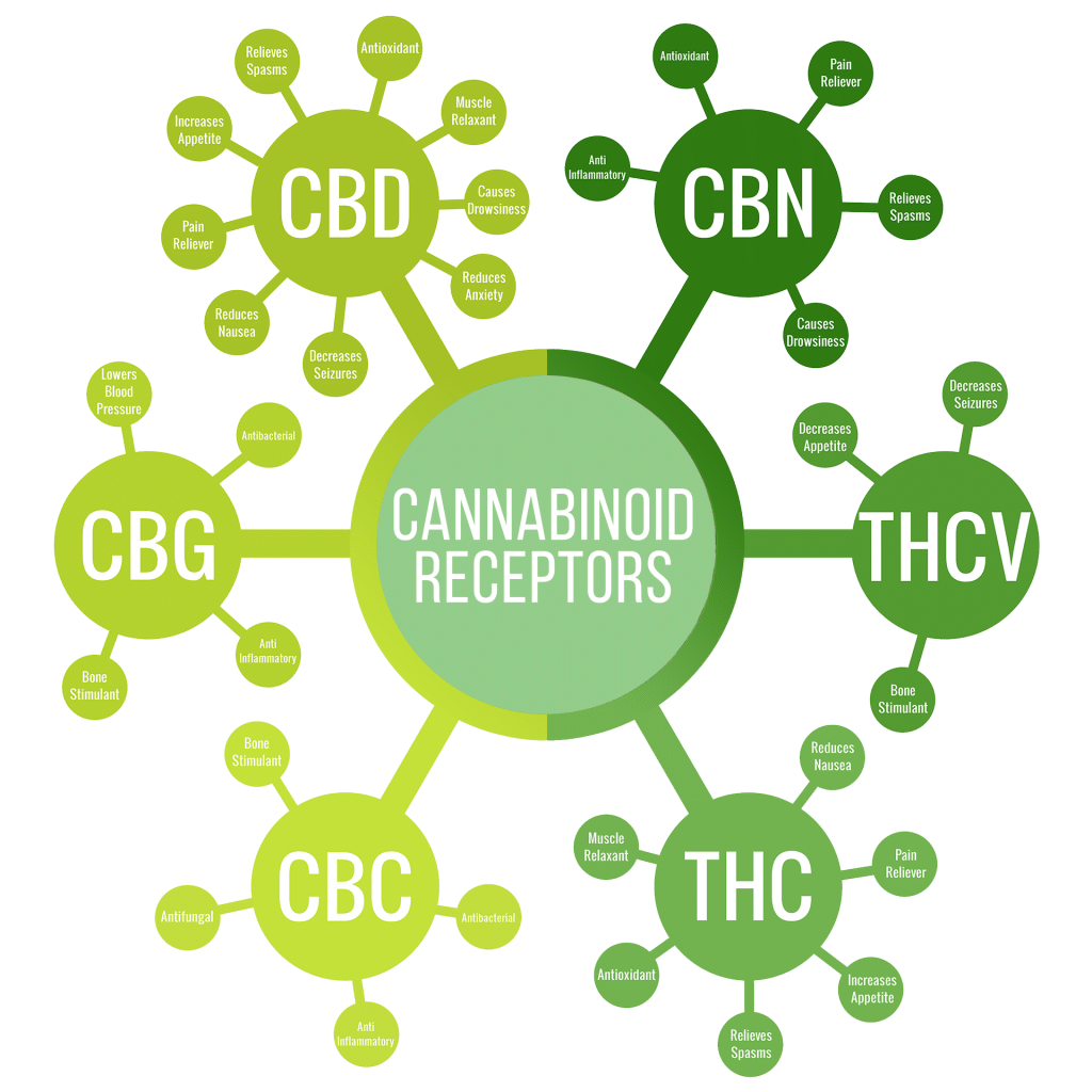 Cannabinoid-guide-MCRC_Final-1024x1024